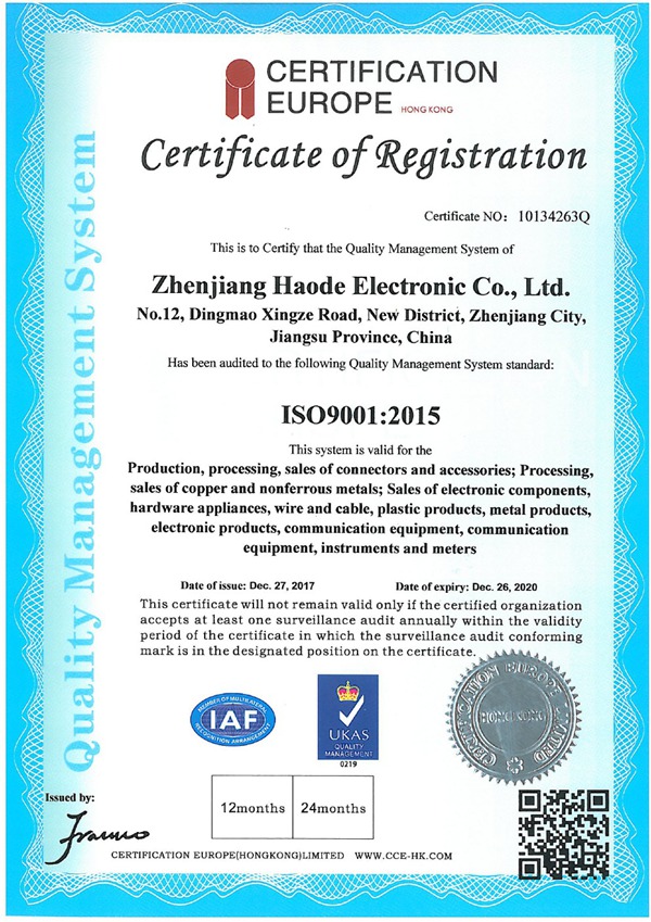ISO 9001国外英文